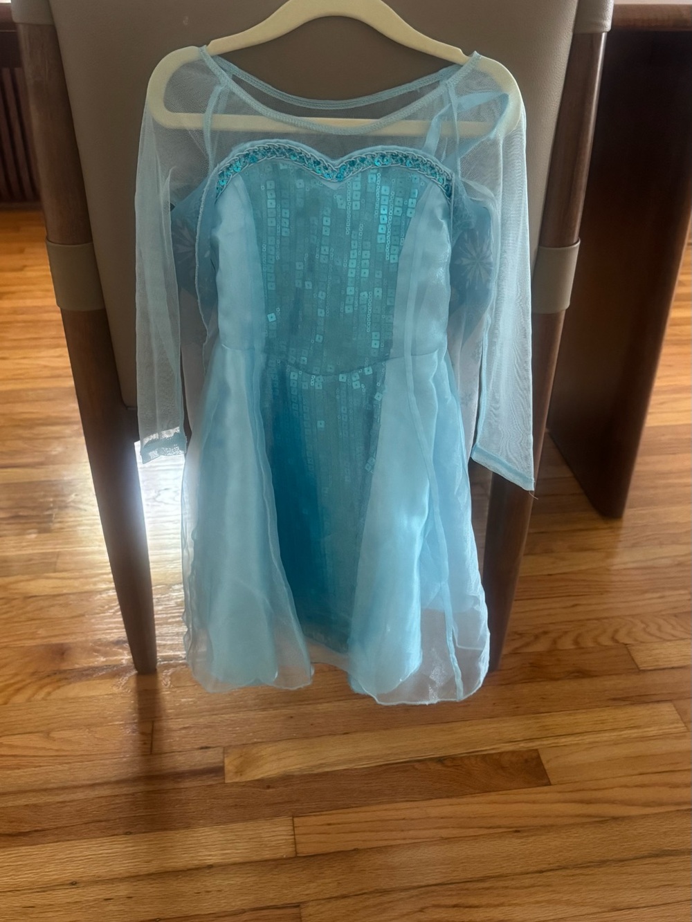 Elsa dress from Disney store